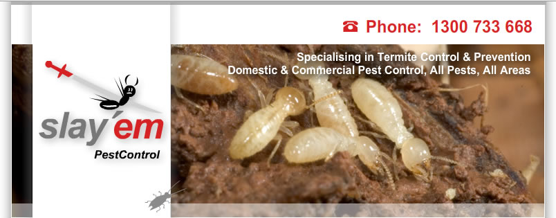 pest control dandenong